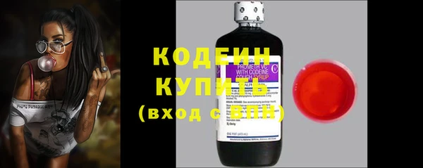 ГАЛЛЮЦИНОГЕННЫЕ ГРИБЫ Арсеньев